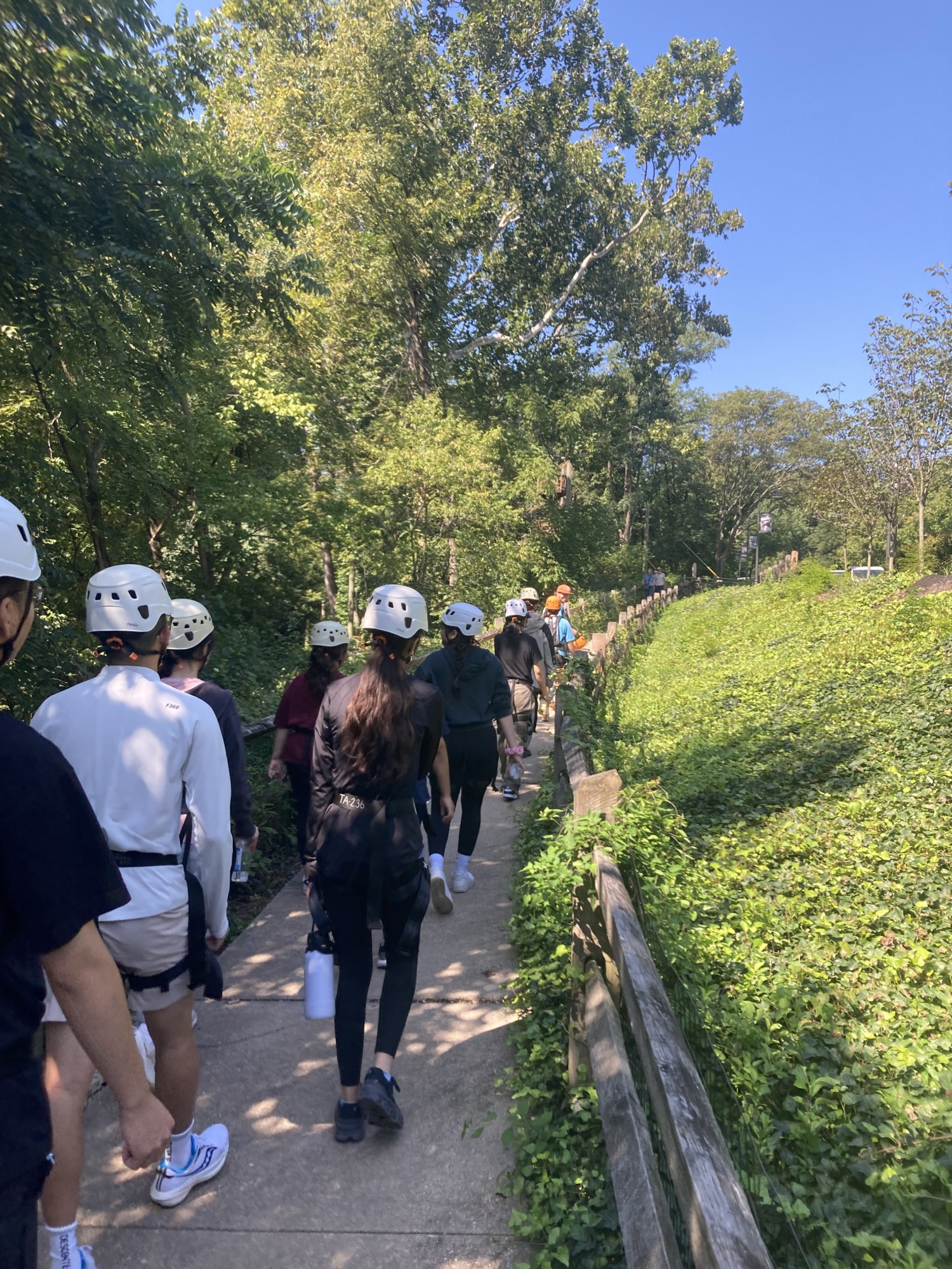 people walking with hard hats on. photo taken from the back